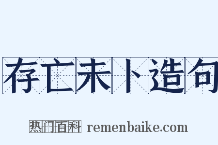 存亡未卜造句是什么意思的图片
